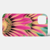 Hot Pink African Daisy Case-Mate iPhone Case (Achterkant (horizontaal))