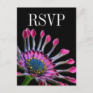 Hot Pink African Daisy Wedding RSVP Briefkaart