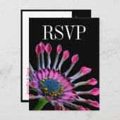 Hot Pink African Daisy Wedding RSVP Briefkaart (Voorkant / Achterkant)