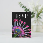 Hot Pink African Daisy Wedding RSVP Briefkaart (Staand voorkant)