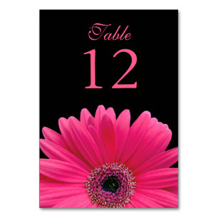 Hot Pink Black Gerber Daisy Wedding Kaart