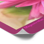 Hot Pink Chrysanthemum Flower Mums Flowers Foto Poster (Hoek)