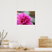 Hot Pink Dahlia Poster (Keuken)