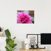 Hot Pink Dahlia Poster (Thuiskantoor)