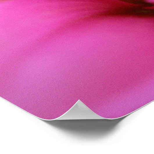 Hot Pink Dahlia Poster (Hoek)