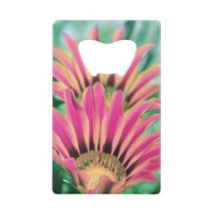 Hot Pink Daisy Creditkaart Flessenopener