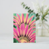 Hot Pink Daisy Petals Briefkaart (Staand voorkant)