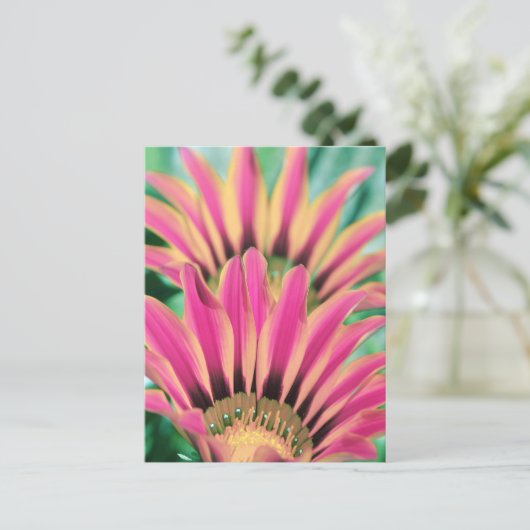Hot Pink Daisy Petals Briefkaart (Staand voorkant)