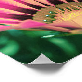 Hot Pink Daisy Petals Poster (Hoek)