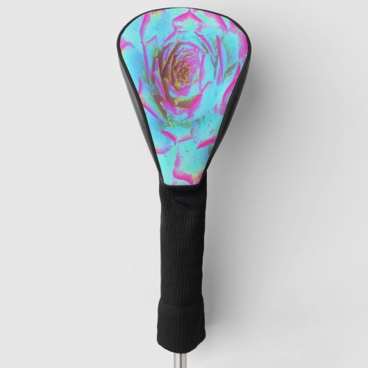 Hot Pink en Blue Succulent Sedum Rosette Golfheadcover (Voorkant)