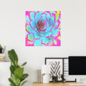 Hot Pink en Blue Succulent Sedum Rosette Poster (Thuiskantoor)