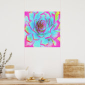 Hot Pink en Blue Succulent Sedum Rosette Poster (Keuken)
