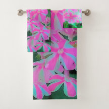 Hot Pink en White Peppermint Twist Garden Phlox