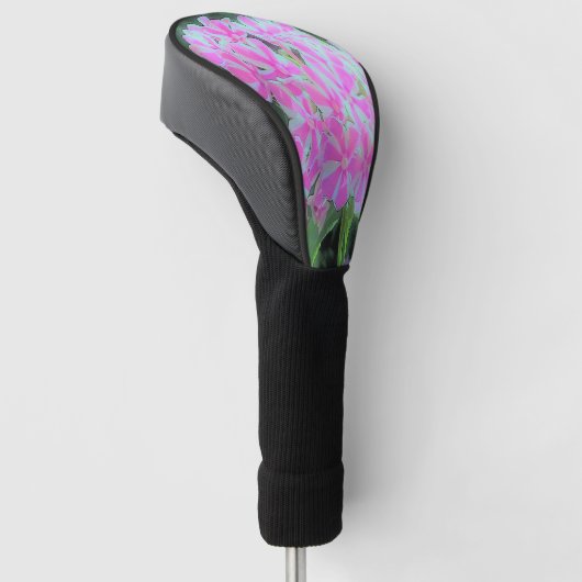 Hot Pink en White Peppermint Twist Garden Phlox Golfheadcover (Schuin)