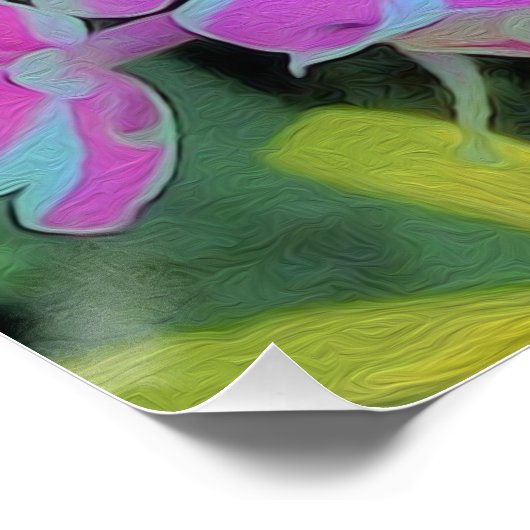 Hot Pink en White Peppermint Twist Garden Phlox Perfect Poster (Hoek)