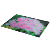 Hot Pink en White Peppermint Twist Garden Phlox Snijplank (Hoek)