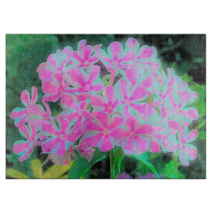 Hot Pink en White Peppermint Twist Garden Phlox Snijplank