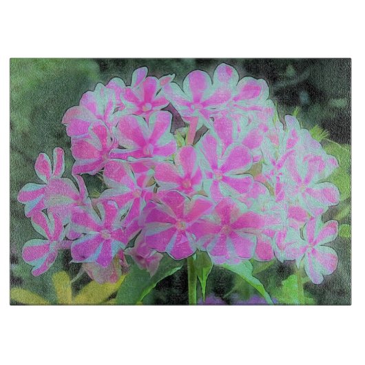 Hot Pink en White Peppermint Twist Garden Phlox Snijplank (Voorkant)