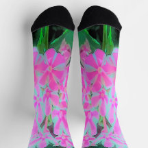 Hot Pink en White Peppermint Twist Garden Phlox