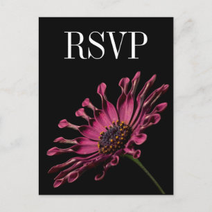 Hot Pink Fuchsia Daisy Wedding RSVP Briefkaart