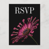 Hot Pink Fuchsia Daisy Wedding RSVP Briefkaart (Voorkant)