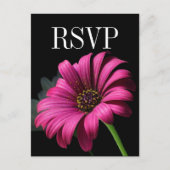 Hot Pink Gerber Daisy Wedding RSVP Briefkaart (Voorkant)