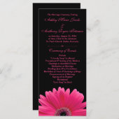 Hot Pink Gerbera Daisy Black Wedding Programma Programmakaart (Voorkant / Achterkant)