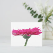 Hot Pink Gerbera Daisy Briefkaart (Staand voorkant)