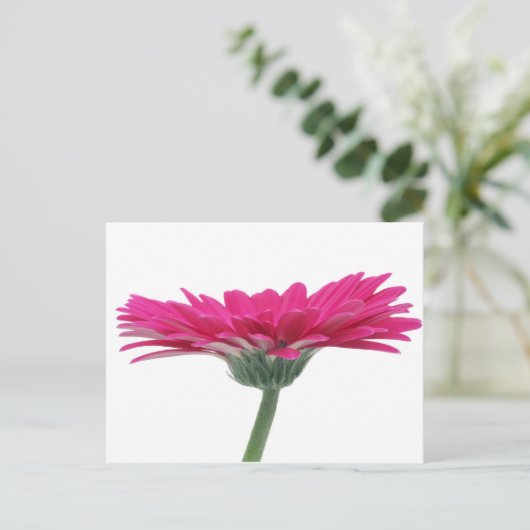 Hot Pink Gerbera Daisy Briefkaart (Staand voorkant)