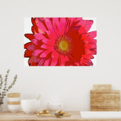 Hot Pink Gerbera Daisy Canvas Poster (Keuken)