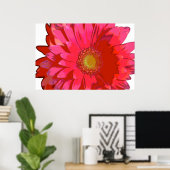 Hot Pink Gerbera Daisy Canvas Poster (Thuiskantoor)