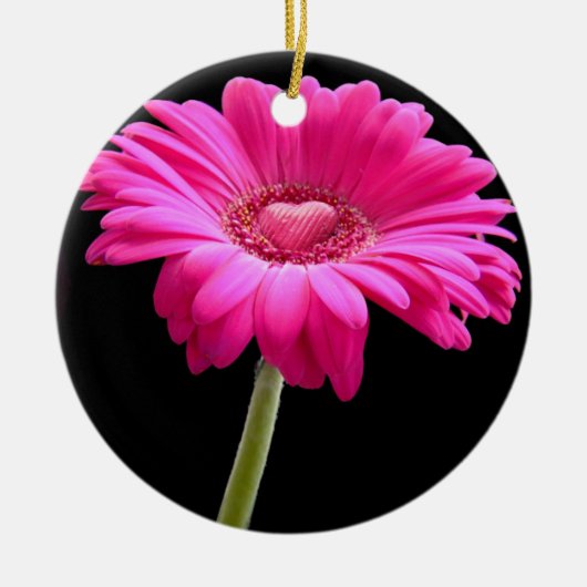 Hot Pink Gerbera Daisy Keramisch Ornament (Voorkant)