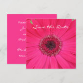 Hot Pink Gerbera Daisy Save the Date Invitation (Voorkant / Achterkant)