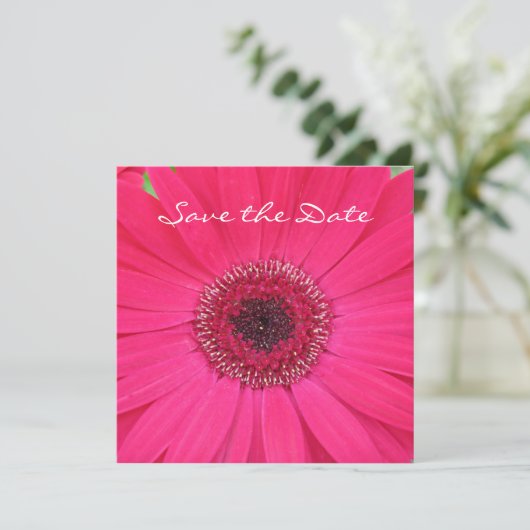 Hot Pink Gerbera Daisy Save the Date Invitation (Staand voorkant)