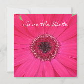Hot Pink Gerbera Daisy Save the Date Invitation (Voorkant)
