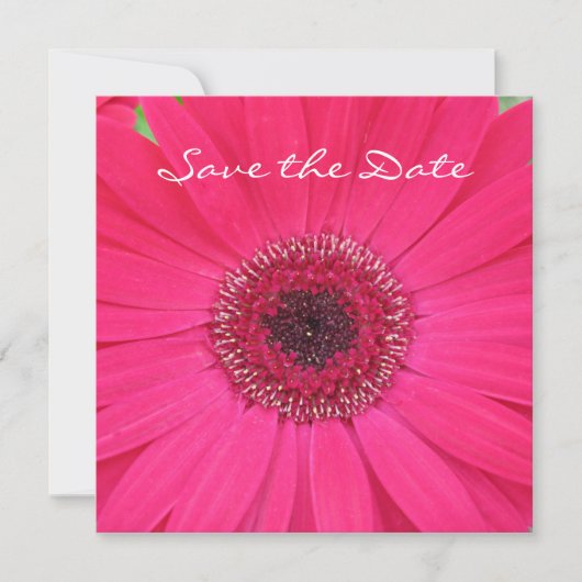Hot Pink Gerbera Daisy Save the Date Invitation (Voorkant)