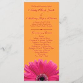 Hot Pink Gerbera Daisy Sinaasappel huwelijksprogra Programmakaart