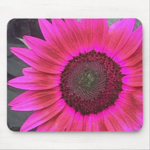 HOT Pink Raspberry Sunflower mousepad Muismat