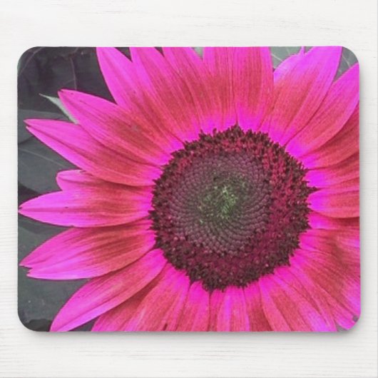 HOT Pink Raspberry Sunflower mousepad Muismat (Voorkant)