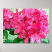 Hot Pink Rhododendron Eekje Abstract Poster (Voorkant)