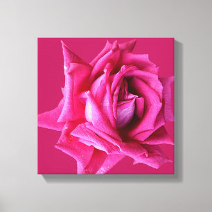 hot pink roos moderne stijlvolle bloemenboho canvas afdruk