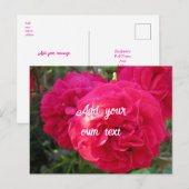 Hot Pink Rozen - gepersonaliseerd Briefkaart (Voorkant / Achterkant)