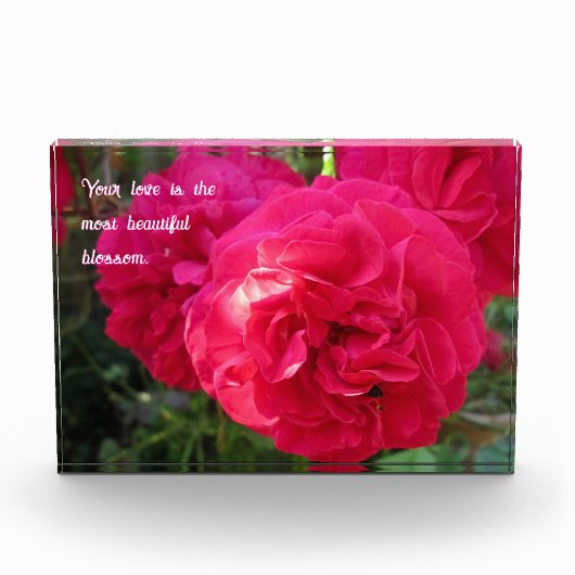Hot Pink Rozen - Gepersonaliseerde Moederdag Fotoblokken (Voorkant)