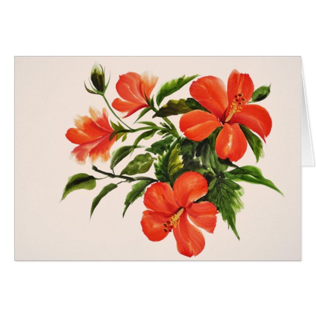 Hot Red Hibiscus (Voorkant Horizontaal)