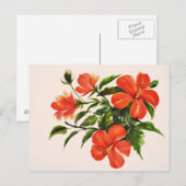 Hot Red Hibiscus Briefkaart (Voorkant / Achterkant)