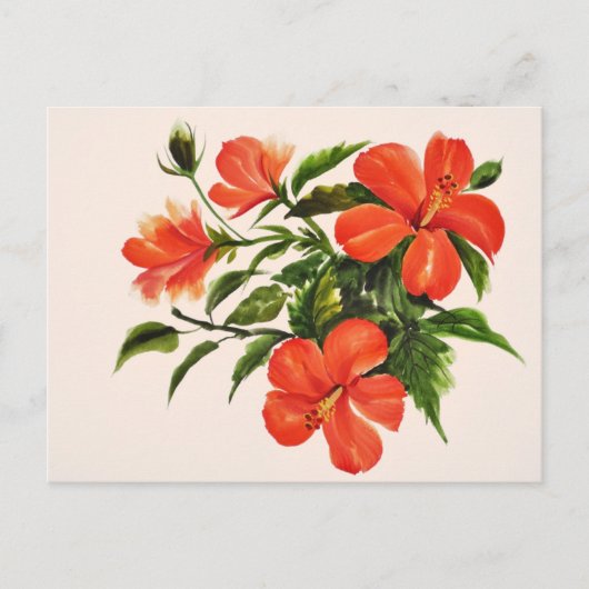 Hot Red Hibiscus Briefkaart (Voorkant)