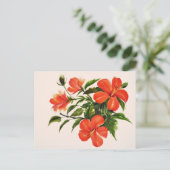 Hot Red Hibiscus Briefkaart (Staand voorkant)