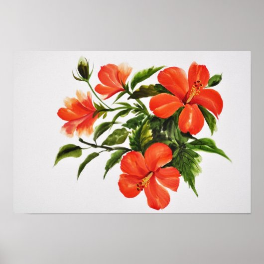 Hot Red Hibiscus Poster (Voorkant)