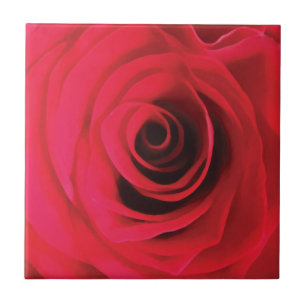 Hot-red waterverf roos bud detail tegeltje