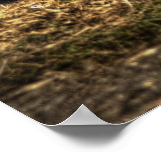 Hot Rod Poster (Hoek)